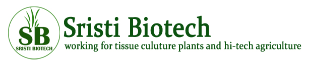 Sristi Biotech Logo